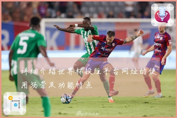 详细介绍世界杯投注平台网址的使用场景及功能特点