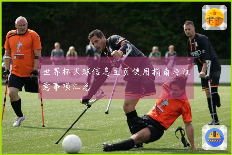世界杯买球信息主页使用指南与注意事项汇总