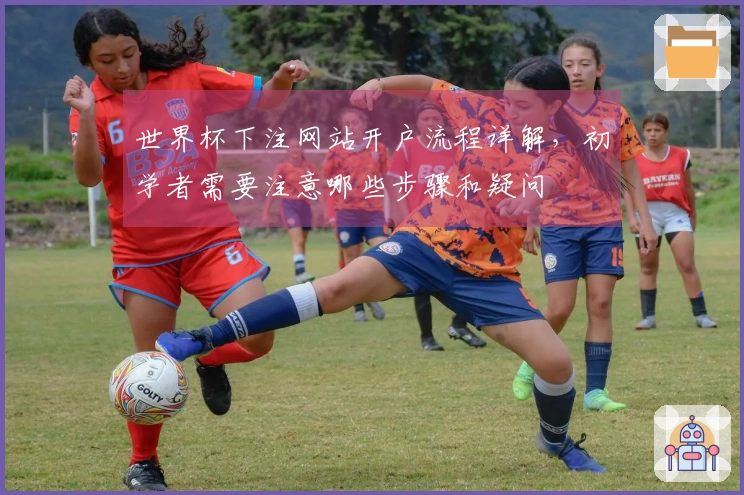 世界杯下注网站开户流程详解，初学者需要注意哪些步骤和疑问
