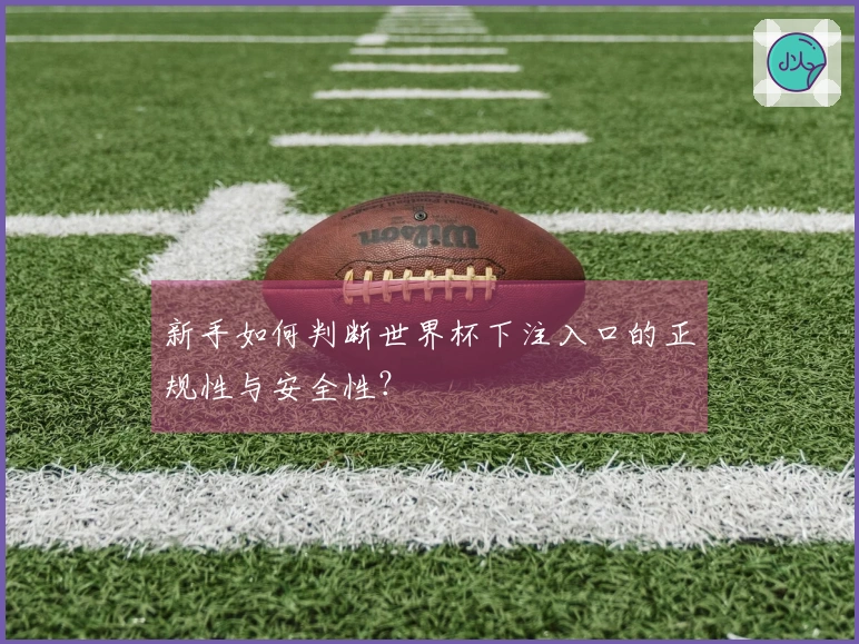 新手如何判断世界杯下注入口的正规性与安全性？