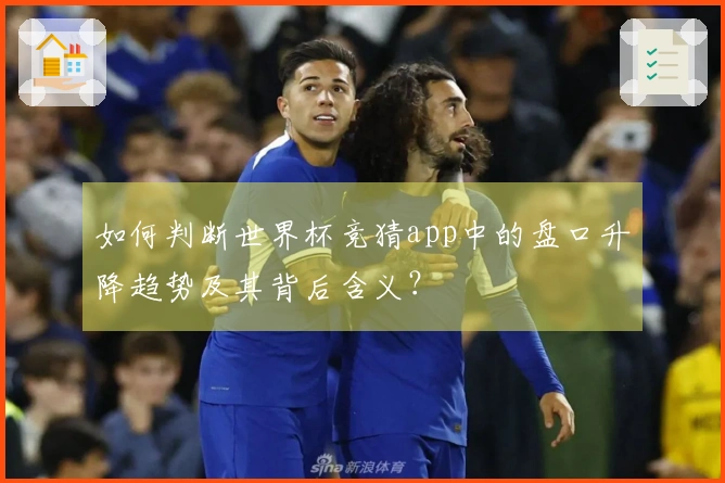 如何判断世界杯竞猜app中的盘口升降趋势及其背后含义？