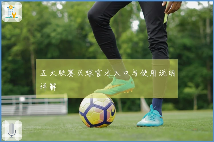 五大联赛买球官方入口与使用说明详解
