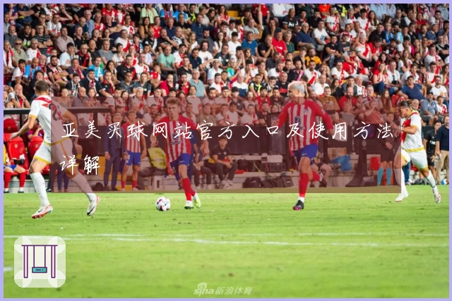 亚美买球网站官方入口及使用方法详解