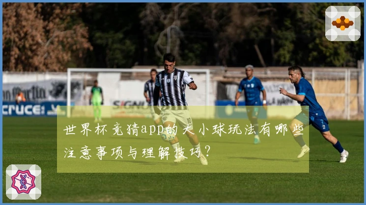 世界杯竞猜app的大小球玩法有哪些注意事项与理解技巧？