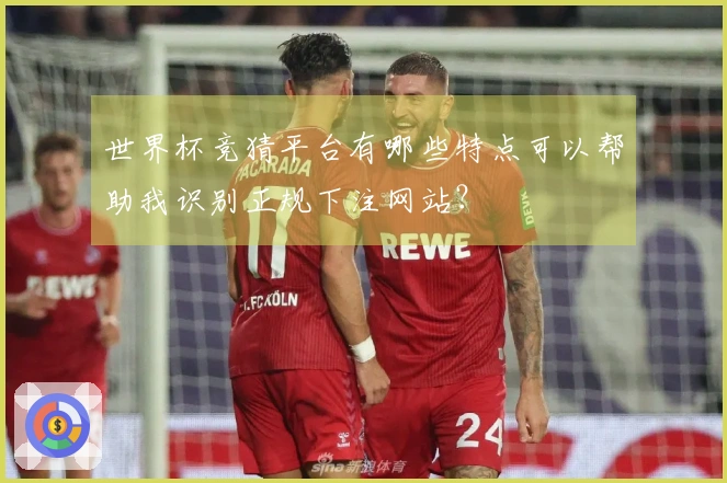 世界杯竞猜平台有哪些特点可以帮助我识别正规下注网站？