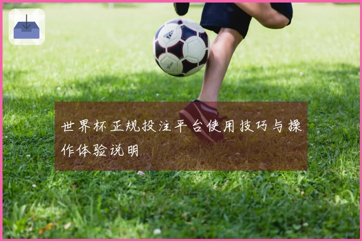 世界杯正规投注平台使用技巧与操作体验说明