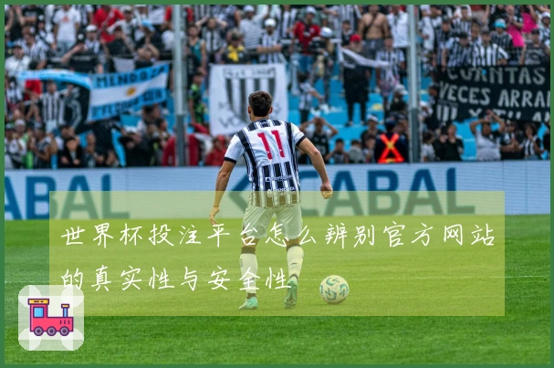 世界杯投注平台怎么辨别官方网站的真实性与安全性