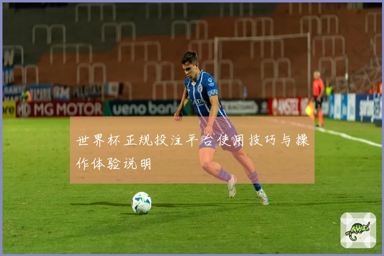 世界杯正规投注平台使用技巧与操作体验说明