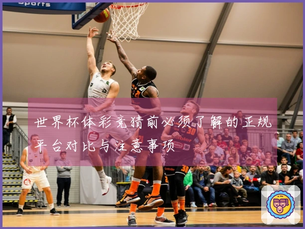 世界杯体彩竞猜前必须了解的正规平台对比与注意事项