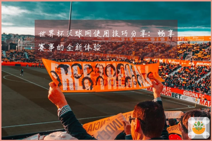 世界杯买球网使用技巧分享：畅享赛事的全新体验