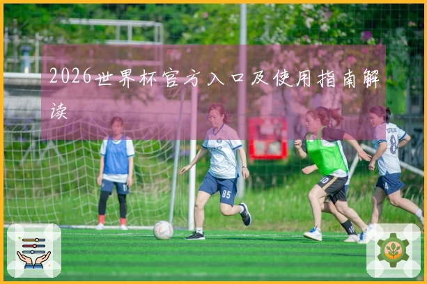 2026世界杯官方入口及使用指南解读