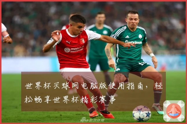 世界杯买球网电脑版使用指南，轻松畅享世界杯精彩赛事