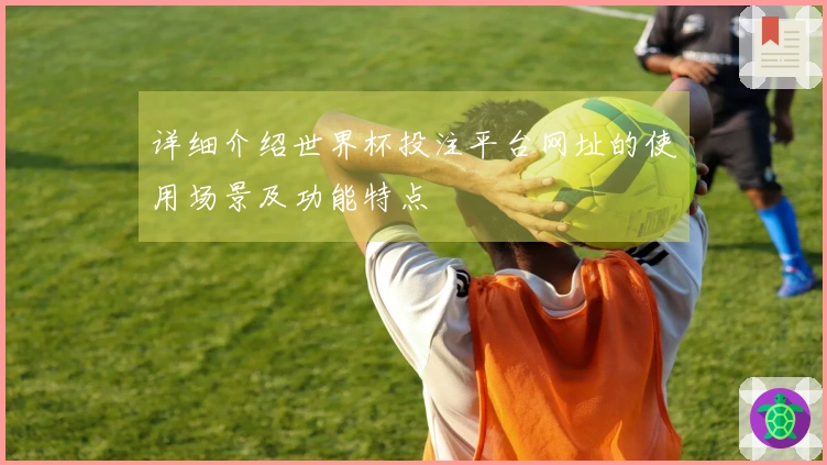 详细介绍世界杯投注平台网址的使用场景及功能特点