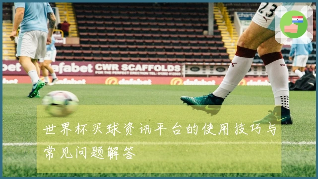 世界杯买球资讯平台的使用技巧与常见问题解答