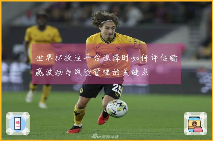世界杯投注平台选择时如何评估输赢波动与风险管理的关键点