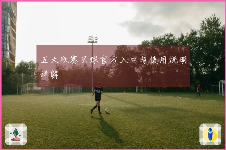 五大联赛买球官方入口与使用说明详解