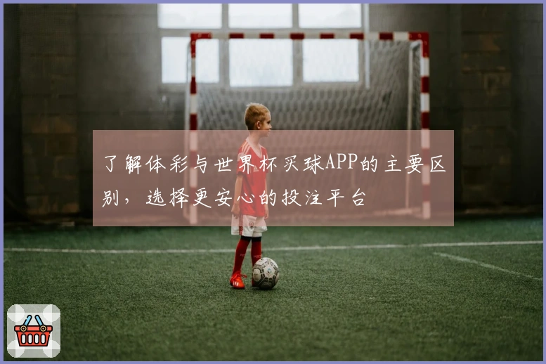 了解体彩与世界杯买球APP的主要区别，选择更安心的投注平台