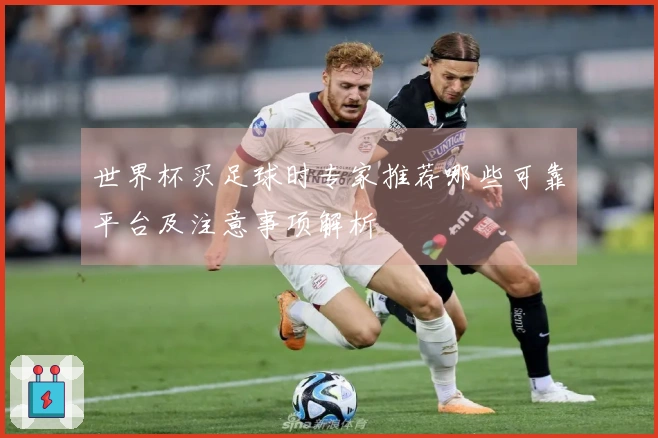世界杯买足球时专家推荐哪些可靠平台及注意事项解析